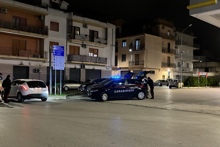 Controllo del territorio, attività congiunta di Carabinieri e Polizia Locale - Gravina in Puglia