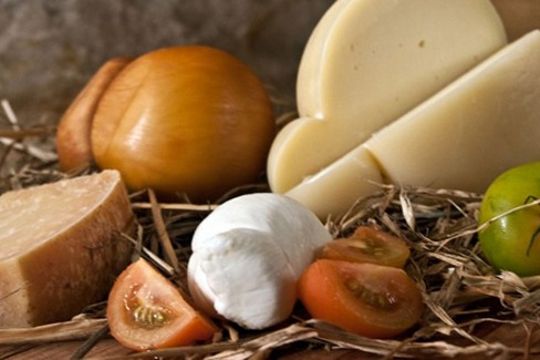 Immagine del post 20764 - Gravina in Puglia Regione nuovi investimenti per le filiere agroalimentari - Gravina in Puglia