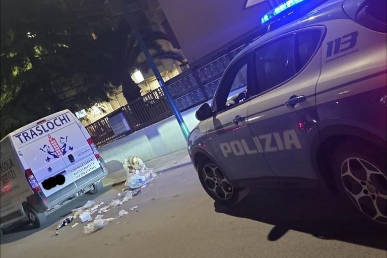Immagine del post 20760 - Gravina in Puglia Non un lupo, ma un cane cecoslovacco - Gravina in Puglia