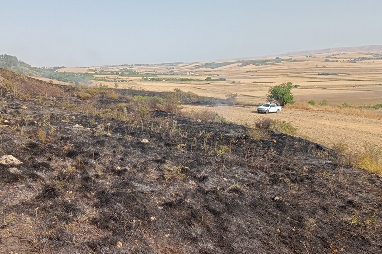 Immagine del post 23120 - Gravina in Puglia Spenti gli incendi che ieri hanno infiammato la Murgia - Gravina in Puglia