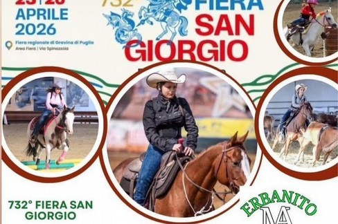 la Fiera e i cavalli - Gravina in Puglia