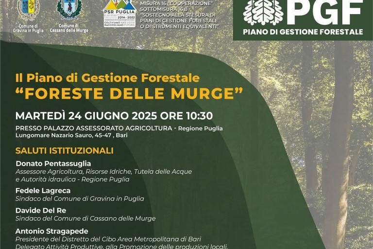 Piano di gestione “Foreste delle Murge” - Gravina in Puglia
