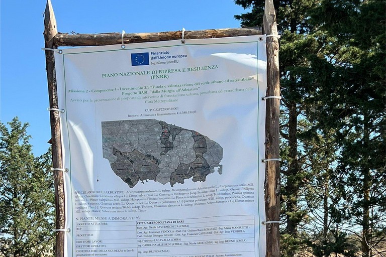 Immagine del post 10963 - Gravina in Puglia Rimboschimento, controreplica di Calculli e Quercia a Lagreca - Gravina in Puglia