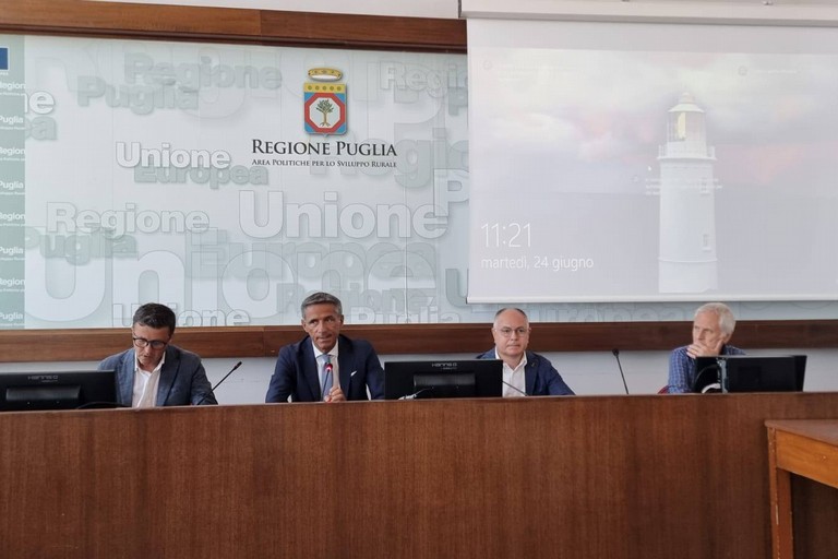 Immagine del post 8981 - Gravina in Puglia Foreste della Murgia, presentato piano gestione - Gravina in Puglia