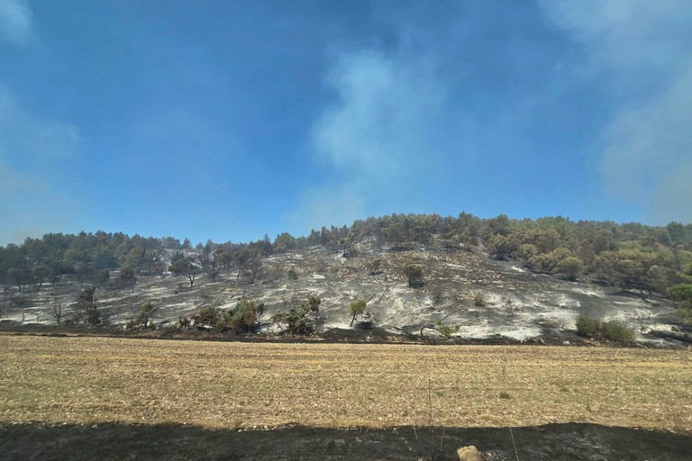 Immagine del post 24292 - Gravina in Puglia Incendio Alta Murgia, fase di bonifica - Gravina in Puglia