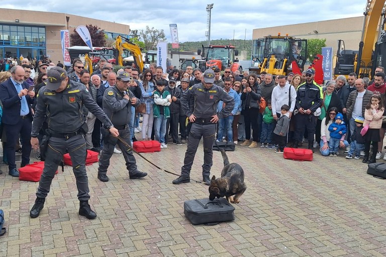 Immagine del post 6540 - Gravina in Puglia In Fiera Unità cinofile della Guardia di Finanza - Gravina in Puglia