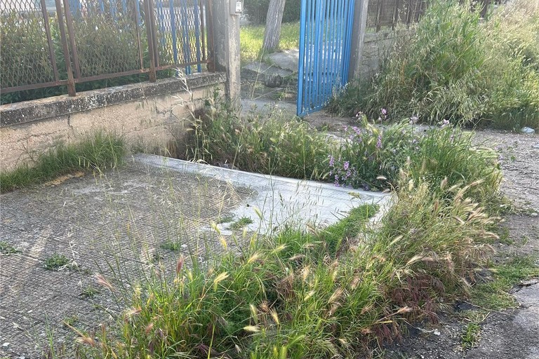 Immagine del post 7754 - Gravina in Puglia Conca (Cittadini Gravinesi): “Erbacce e clientelismo” - Gravina in Puglia
