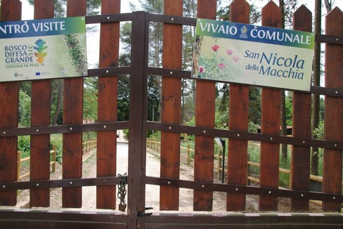 Immagine del post 12909 - Gravina in Puglia Base scouts al Vivaio? FI sposa proposta Verna - Gravina in Puglia