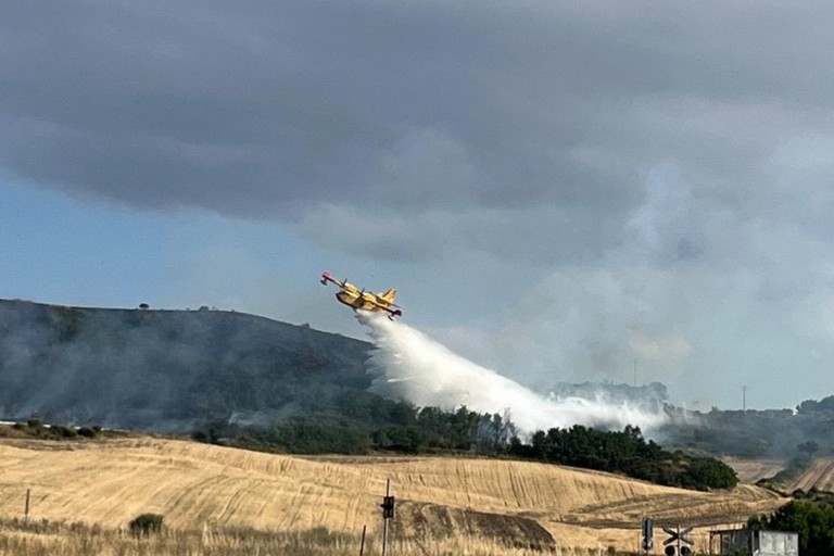 Immagine del post 26587 - Gravina in Puglia Cinque anni, zero incendi: il bosco Difesa Grande al sicuro anche nel 2026 - Gravina in Puglia