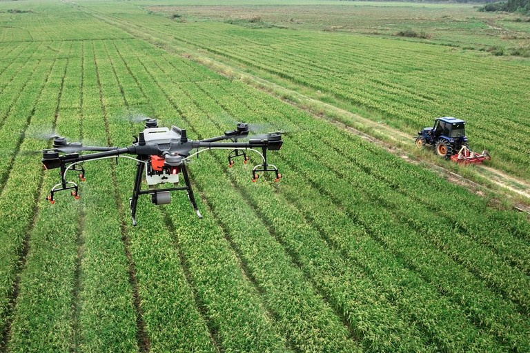 Immagine del post 23768 - Gravina in Puglia Investimenti produttivi delle aziende agricole - Gravina in Puglia
