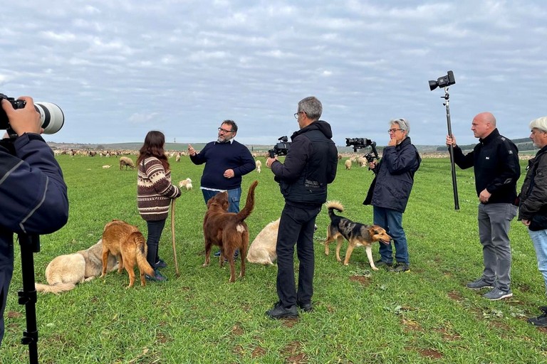 Immagine del post 538 - Gravina in Puglia Il Parco Nazionale dell’Alta Murgia protagonista a Linea Verde - Gravina in Puglia