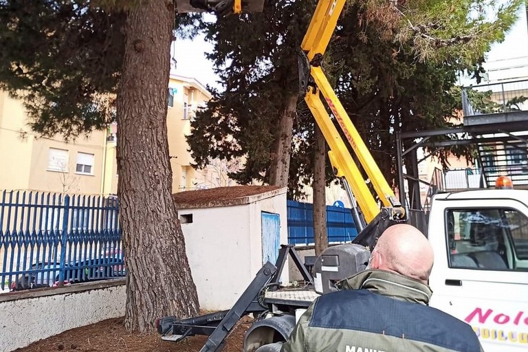 Immagine del post 1109 - Gravina in Puglia Appalto verde pubblico, dichiarazione della Cgil - Gravina in Puglia