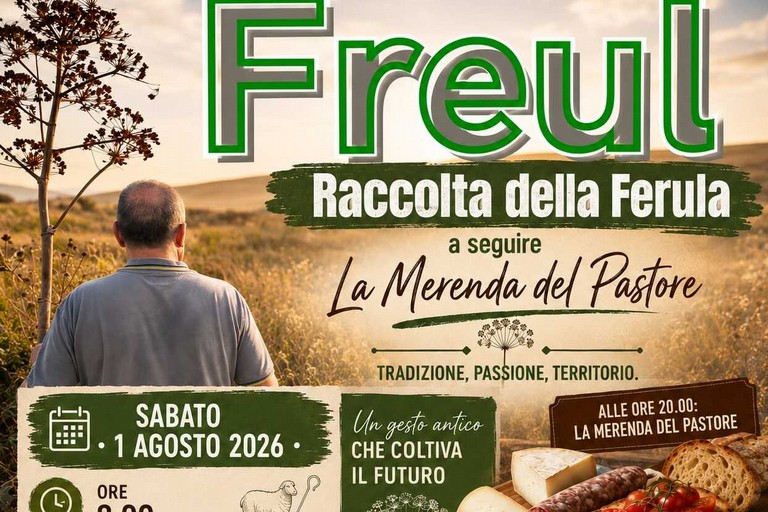 Immagine del post 23446 - Gravina in Puglia Freul - raccolta della Ferula - Gravina in Puglia