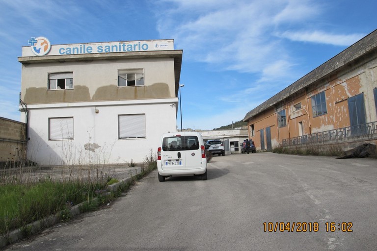 Canile Sanitario, il Comune cerca gestore - Gravina in Puglia