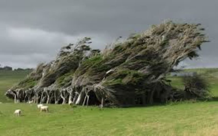 Immagine del post 765 - Murgia Altamura, prosegue l’allerta meteo gialla - Murgia