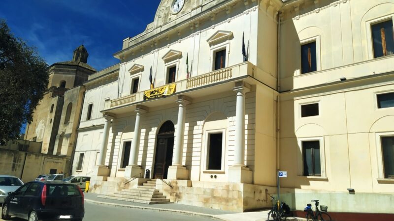 Immagine del post 39 - Murgia Gravina, attività di monitoraggio delle misure di emergenza della Xylella - Murgia