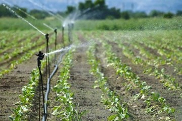 Siccità: garantita l'acqua per le colture autunnali - Matera