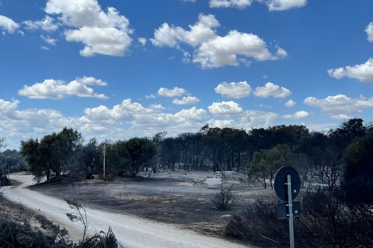 Immagine del post 9792 - Matera Incendi a Metaponto: il bilancio è peggiore delle aspettative - Matera