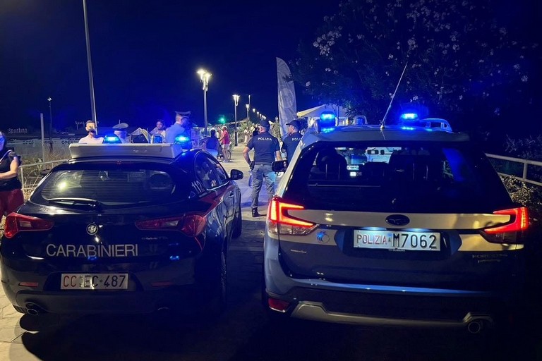Aggredisce titolare pizzeria, 22enne arrestato - Matera