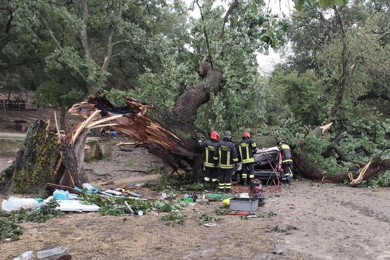 Immagine del post 10760 - Matera Albero cade su auto, un morto e tre feriti - Matera