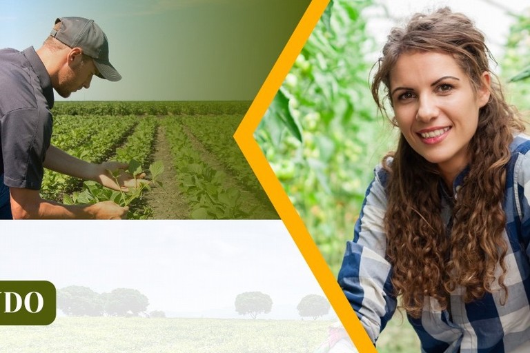 Immagine del post 25131 - Matera Agricoltura: bando da 20 milioni per imprese lucane - Matera