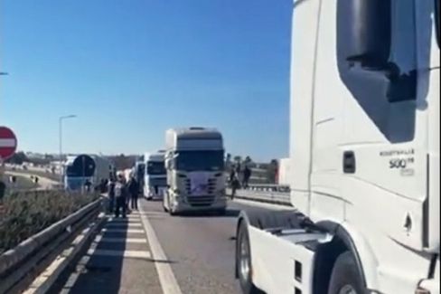 Immagine del post 26106 - Matera Basilicata: protestano agricoltori e autotrasportatori - Matera