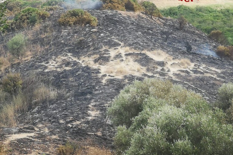In Basilicata aumentati gli incendi, Matera provincia più colpita - Matera