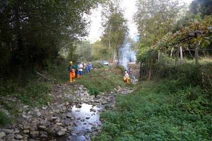 Immagine del post 8772 - Matera Lavori forestali e manutenzione territorio, lunedì si parte - Matera