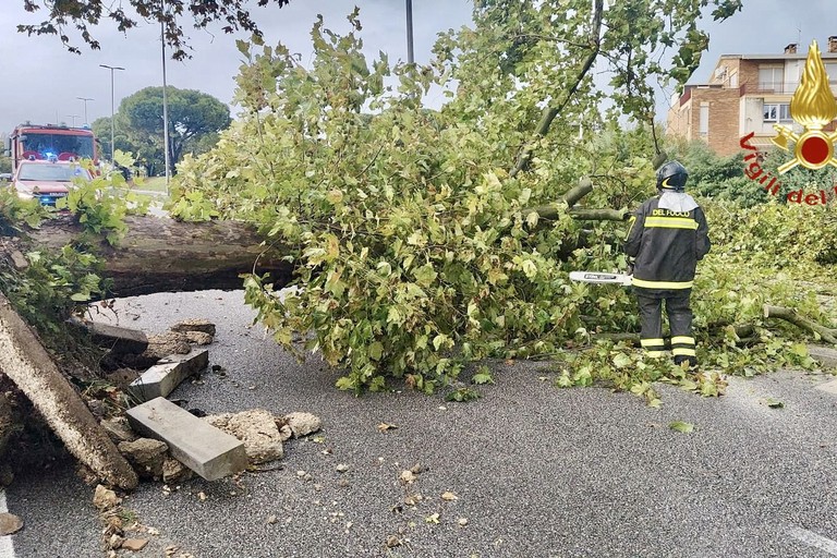 Immagine del post 26326 - Matera Interventi dei vigili del fuoco per maltempo - Matera