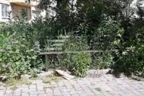 Sfalcio dell'erba, approvato un piano urgente - Matera