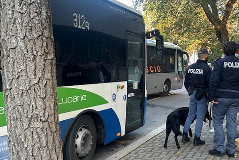 Immagine del post 13081 - Matera Controlli con cani antidroga vicino a scuole - Matera