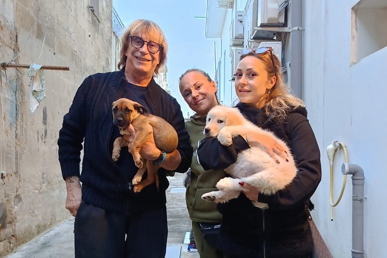 Campagna di adozioni dei cani - Matera