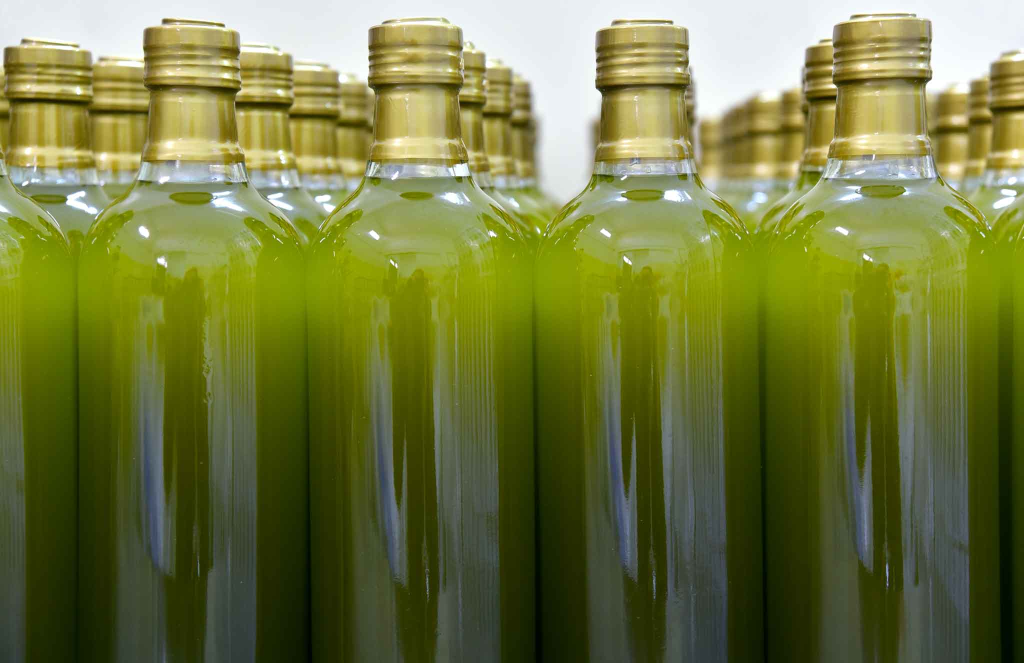 Olio, Coldiretti: «Annata di qualità, +62% per l’export Dop» - Santeramo in Colle