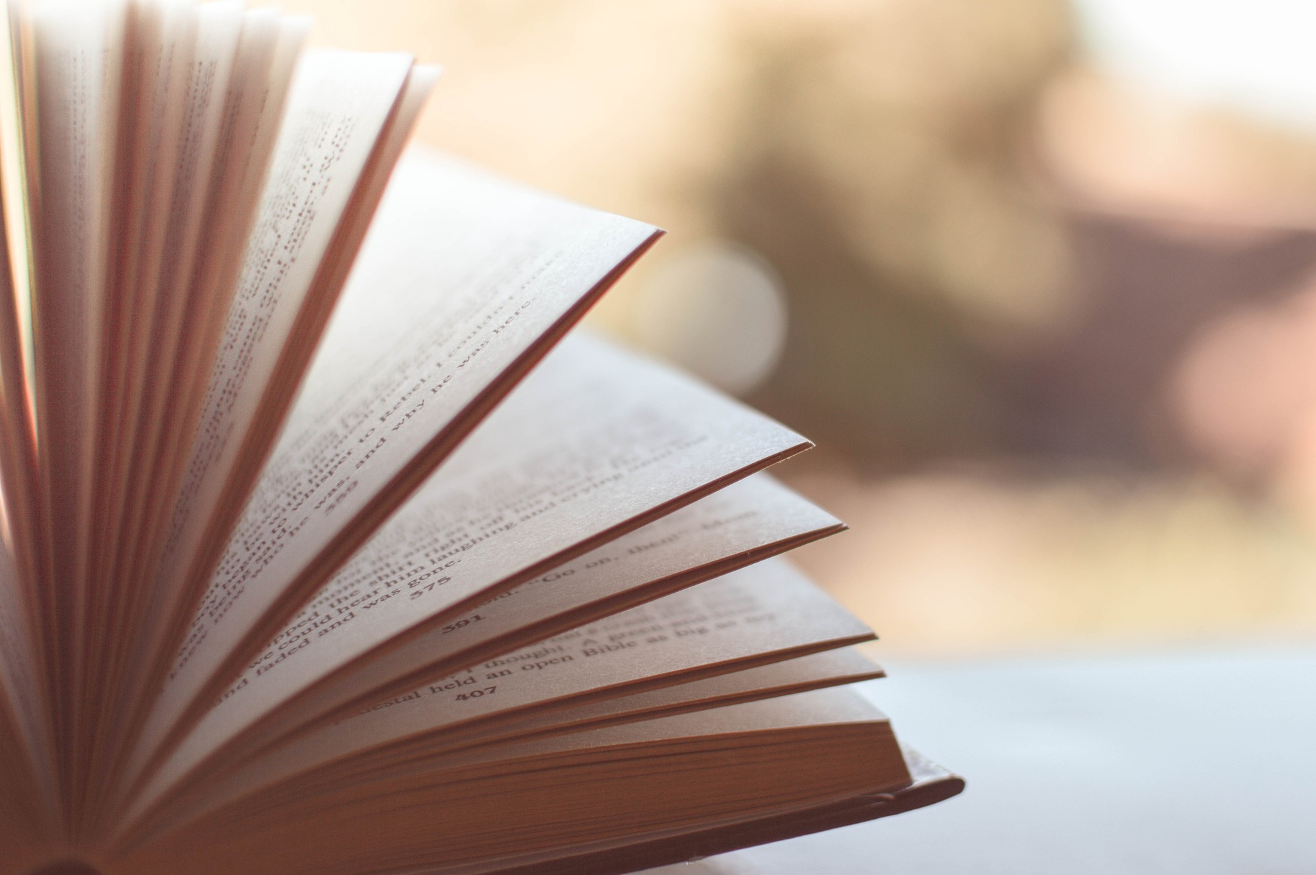 Immagine del post 12366 - Santeramo in Colle Sino al 31 ottobre attiva la “Carta della Cultura”: contributo da 100 euro per i libri - Santeramo in Colle