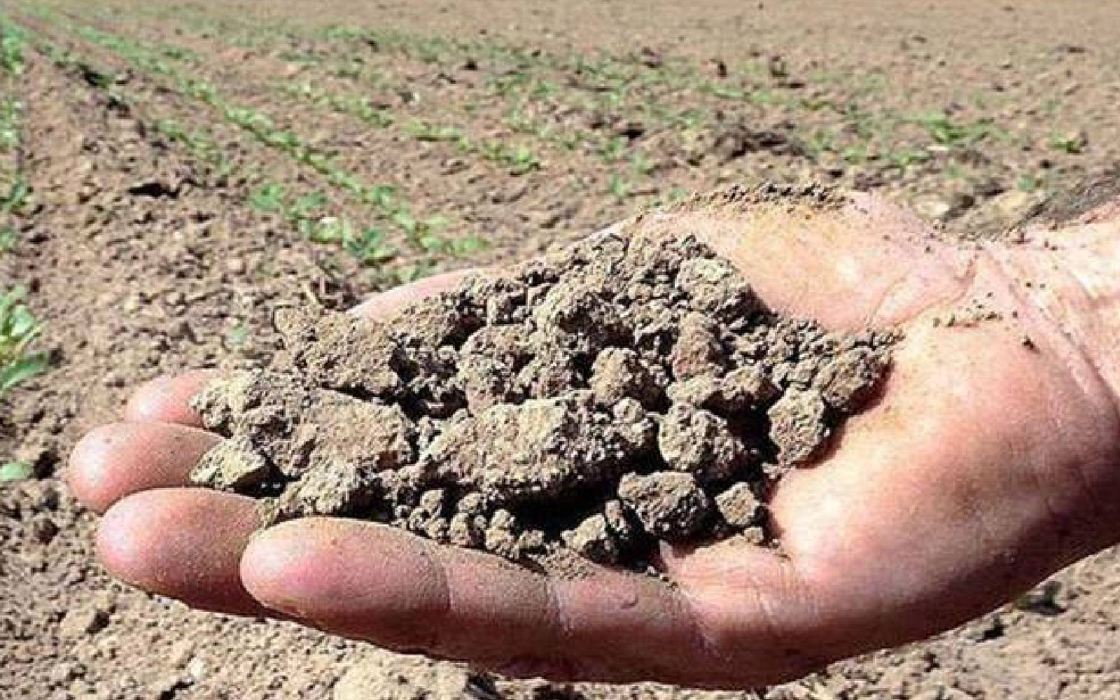 Immagine del post 608 - Santeramo in Colle Siccità, disponibile in Puglia solo il 10% di volume autorizzato di acqua - Santeramo in Colle