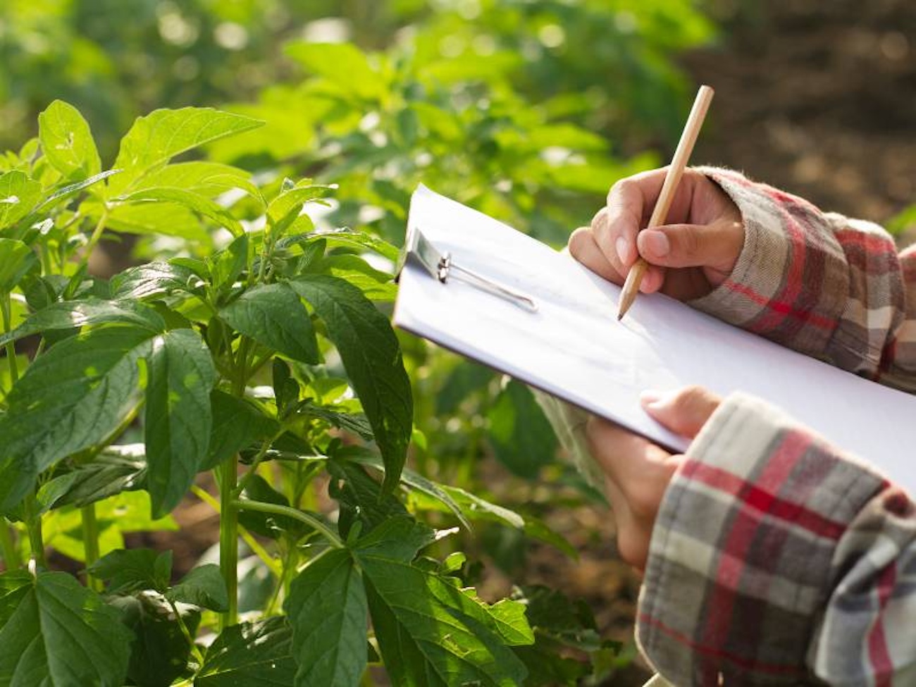 Parte a Santeramo il corso ITS Agri Puglia per formare esperti del patrimonio enogastronomico - Santeramo in Colle