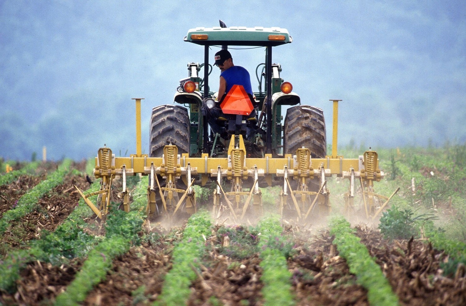 Ai giovani piace la terra: 5mila pugliesi under 35 lavorano in campagna - Santeramo in Colle