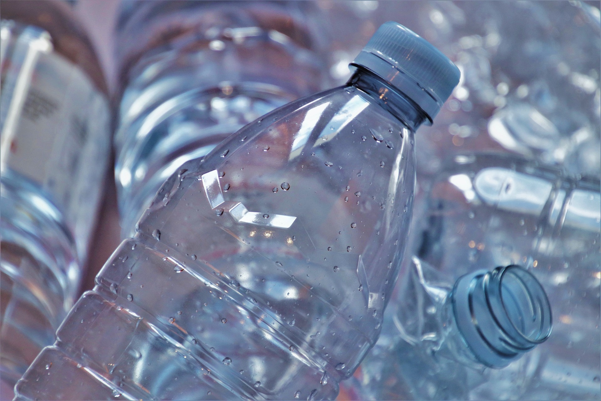 World Cleanup Day 2025, Plastic Free e associazioni locali unite per la pulizia del bosco di Mesola - Santeramo in Colle