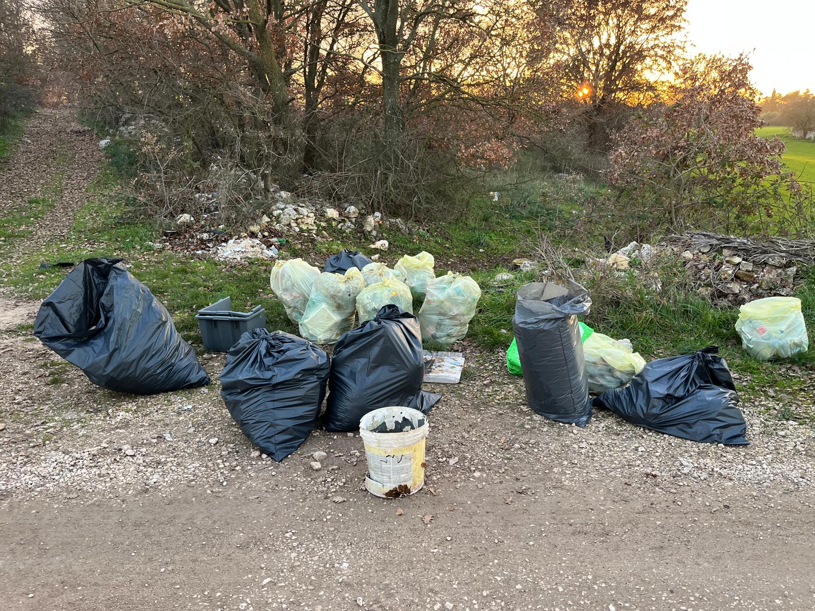 Oltre 700kg di rifiuti raccolti dai volontari di Plastic Free lungo il percorso del Cammino Materano - Santeramo in Colle