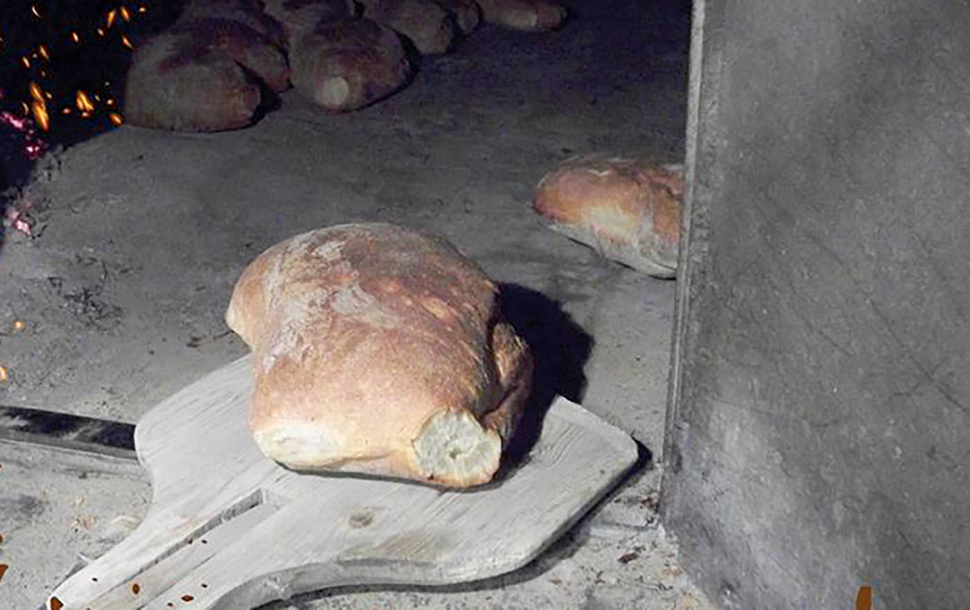 Immagine del post 11093 - Santeramo in Colle Al via oggi la VIII edizione della Festa Contadina all’insegna del pane - Santeramo in Colle